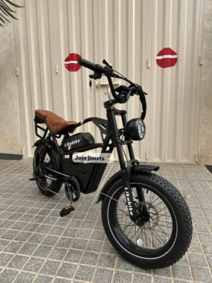 vélo électrique livraison gratuite ljami3 lmodon