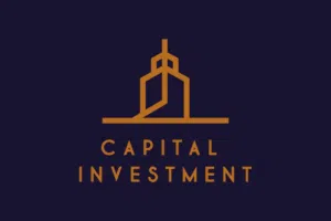 Seeking investment and business partnership