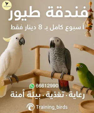 ‏ترويض وتدريب ‏.‏ تدريب طيور‏0