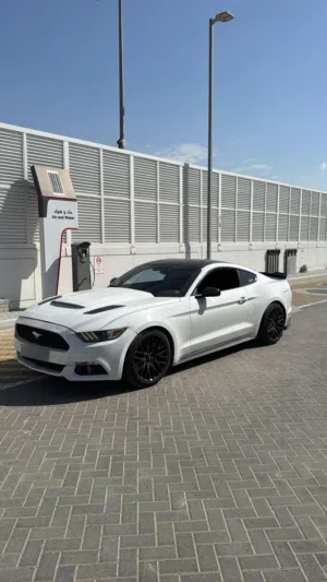 موستنق بريميوم 4v EcoBoost وارد يابان