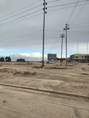 Farm Land for Rent in Basra Khor Al Zubair