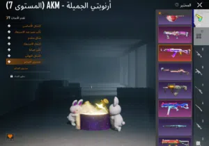 Pubg Accounts and Characters for Sale in Al Batinah