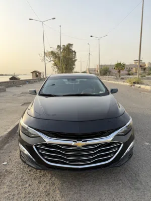 شفروليت ماليبو 2023