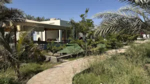 3 Bedrooms Farms for Sale in Al Batinah Al Masnaah