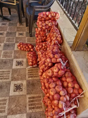 بصل نحاسي بعل