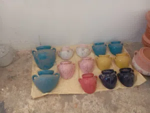 نباتات زراعيه زينه و مستلزماته