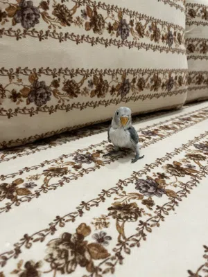 فرخ روز فشر