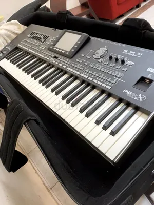 Korg pa3x عادي