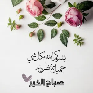 محمد الزروق 