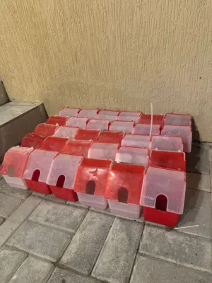 مشربيات واكالات الحبه ب 6