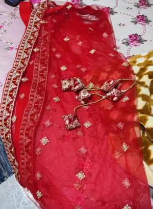 Lehenga wedding dress