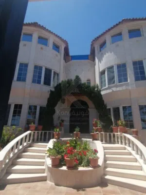 1300 m2 More than 6 bedrooms Villa for Sale in Amman Jubaiha