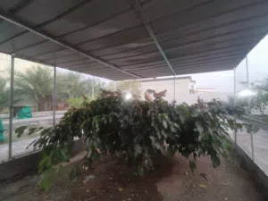 السلام عليكم ورحمة الله وبركاته للبيع عفاد مجموعه الحبه على ريال