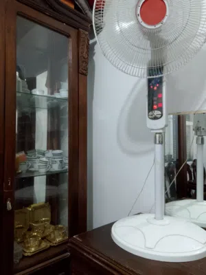 نيش وارد دمياط للبيع