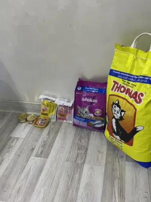 اكل للقطط رقمي واتساب