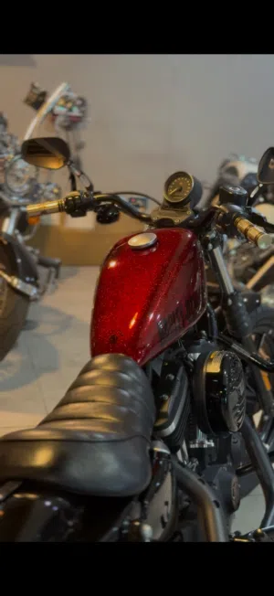 2020 Harley-Davidson sportster Iron 883