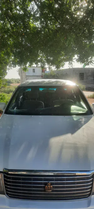 يسرى بلاد ابيض