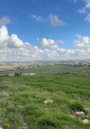 دونم ارض للبيع بأعلى مناطق السرو من المالك اطلاله دائمه  منطقه سكن راقيه هادئه للتواصل واتس اب فقط