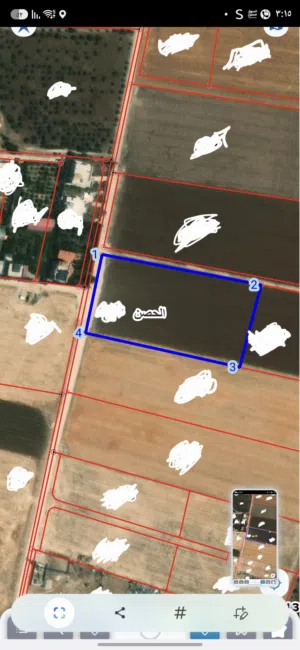 Farm Land for Sale in Irbid Al Husn