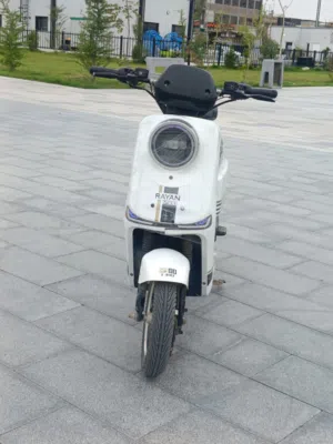 دراجة شحن ريان r900