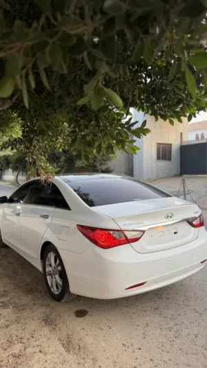 سوناتا تحيه رساله مفتوحه