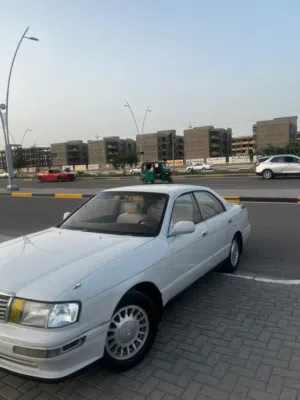 تيوته كراون بطه فصل
