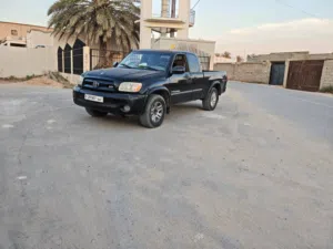 تندرا 2006