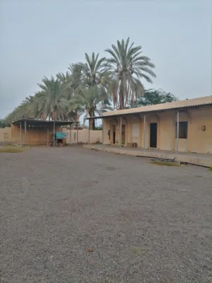Studio Farms for Sale in Al Batinah Sohar