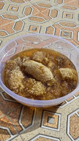 عسل سدر بوطويق صافي