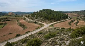 Residential Land for Sale in Amman Umm al Kundum