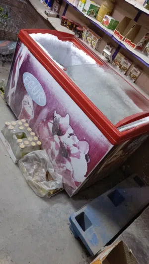 مجمدات وعراضات