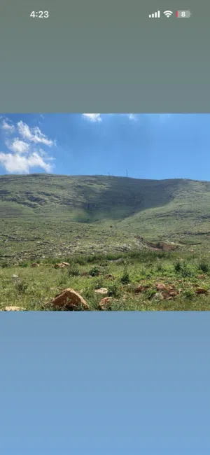 Mixed Use Land for Sale in Nablus Al-Bathan