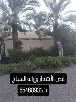 قص الأشجار وإزالة السياج تنظيف وتكريب النخيل شلع وزراعة الاشجار والنخيل شلع وزراعة النخيل شلع وزراعة