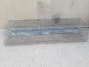 السلام عليكم قفص ارانب و دجاج وحمام الطول2وتر وعرضه 60 حاجه مليحه ينقسم علي 2سومه كزيوني