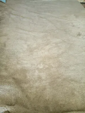 موكيت ملكي سادة
