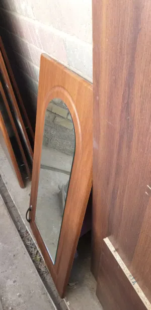 كنتور ماليزي تفصيخ