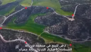 ارض استثمار سياحي