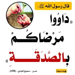 abedalsyd Ali 