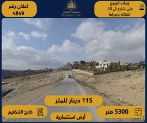 اعلان رقم (4849) فرصة استثمارية لا تعوّض – أرض بسعر لقطة في زينات الربوع – على شارع الأربعين