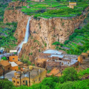 Ahmed gawish 