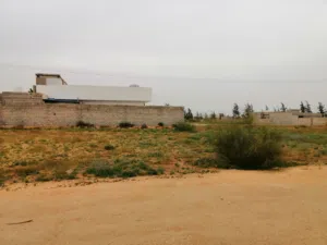 قطعة أرض للبيع في وادي الربيع القيو
