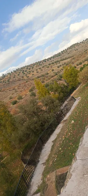 More than 6 bedrooms . 2 Bathrooms . 150 m22