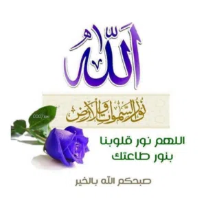 ابو مهند ghaid.o