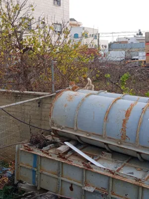 قوالب مدورات ومربعات