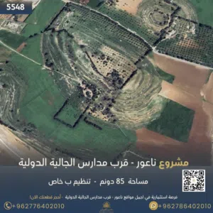 Residential Land for Sale in Amman Naour