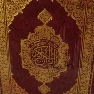 محمد 