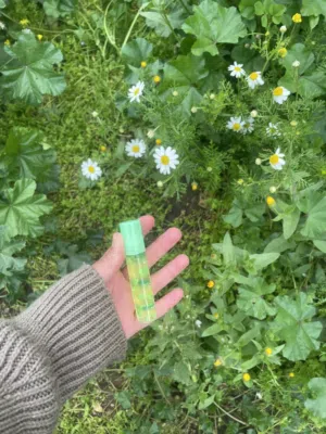 لبي كلاس بالشفاء