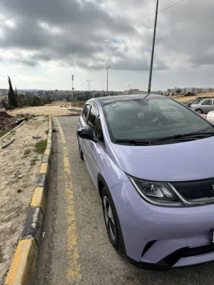 Byd dolphin 2023