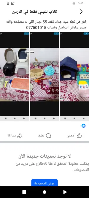 اكسسوارات قطط للبيع بسعر مغري