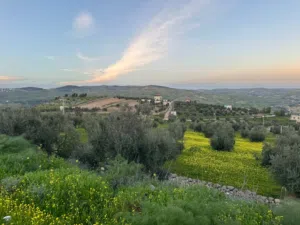 Farm Land for Sale in Zarqa Al-Alouk